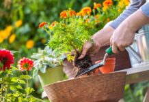 De tuin onder handen nemen Depositphotos_29288321_S