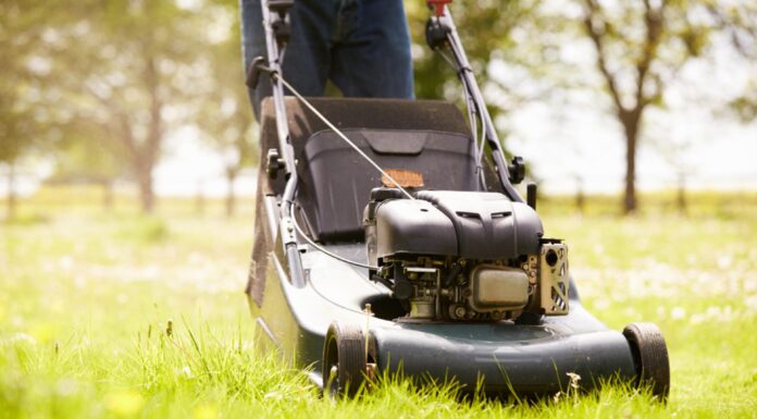 Waarom kiezen voor een benzinemaaier? grasmaaier